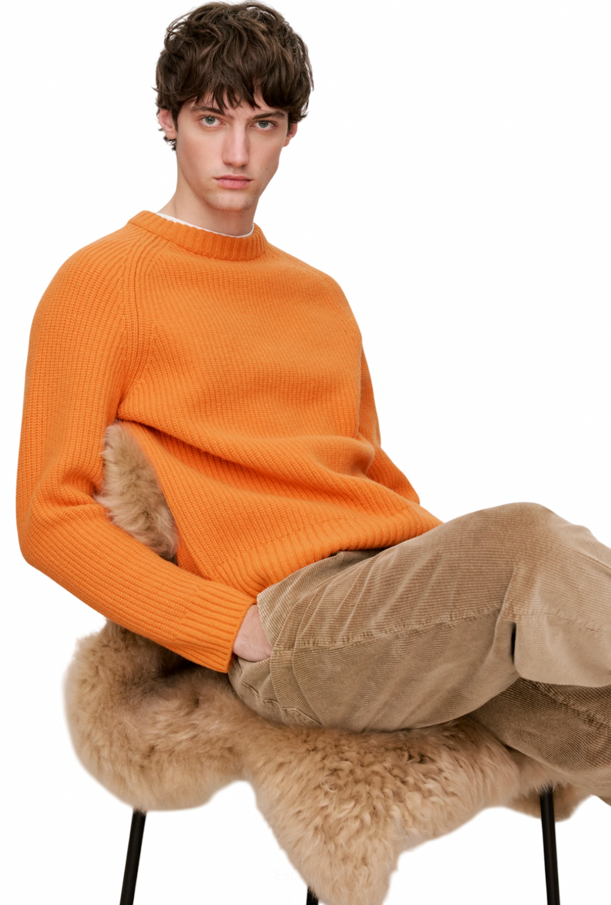 Pull and Sweatshirt uomo