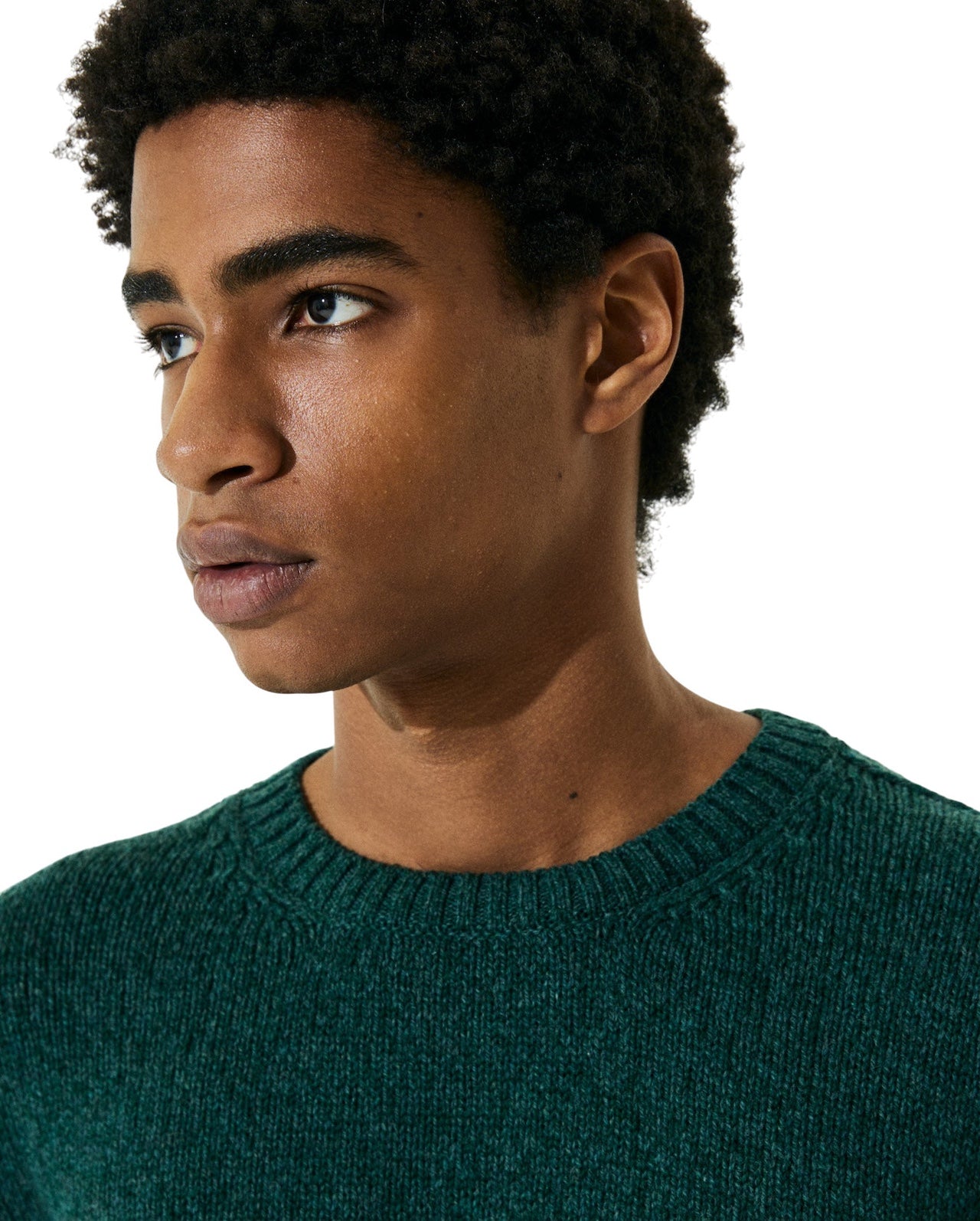 Pull in lana verde Scaglione