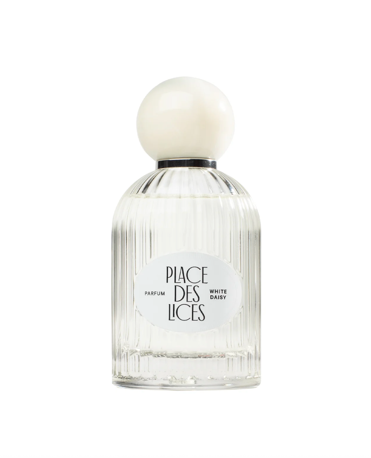 White daisy Places des lices